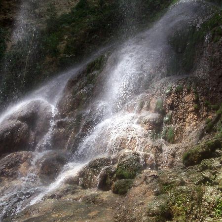 Hacienda El Jibarito Aparthotel ซานเซบาสเตียน ภายนอก รูปภาพ