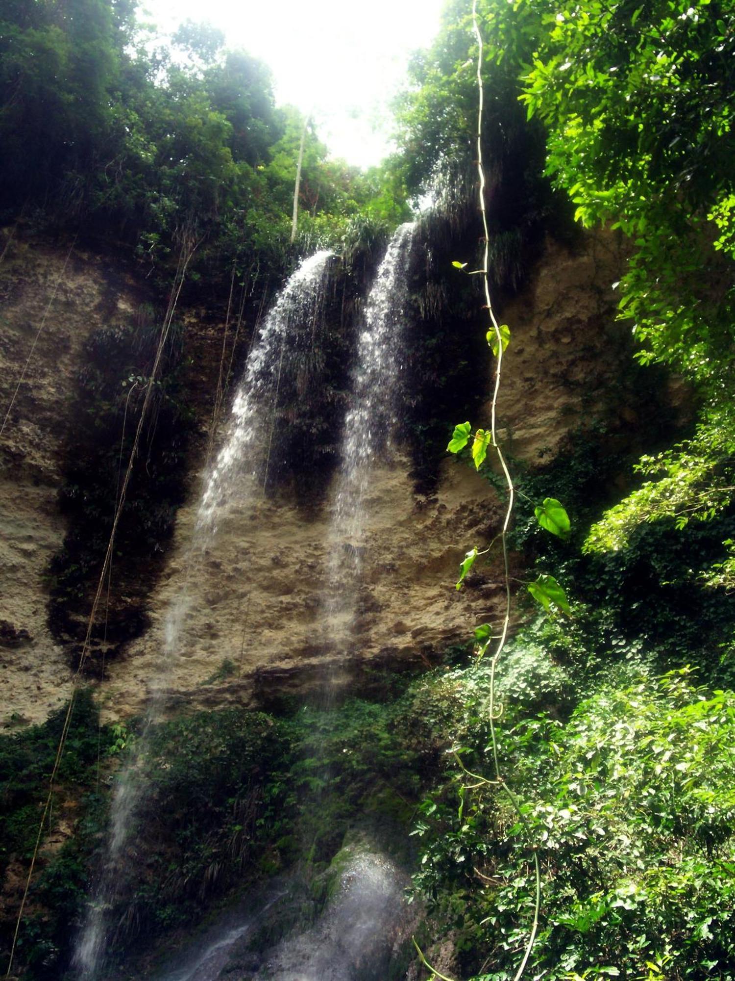 Hacienda El Jibarito Aparthotel ซานเซบาสเตียน ภายนอก รูปภาพ
