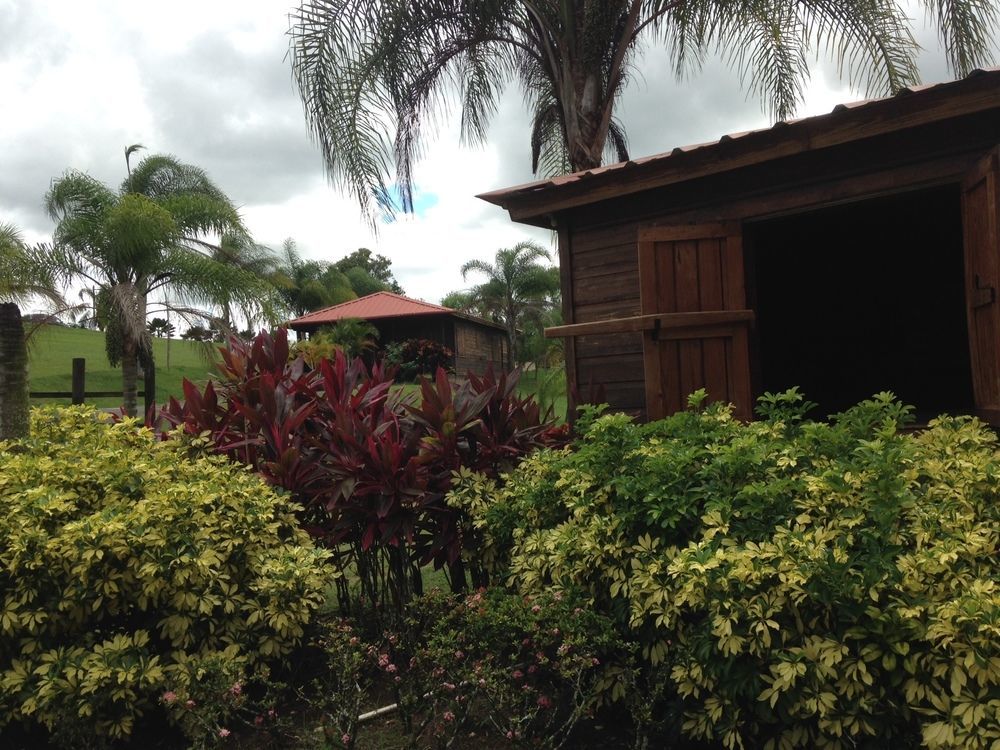 Hacienda El Jibarito Aparthotel ซานเซบาสเตียน ภายนอก รูปภาพ